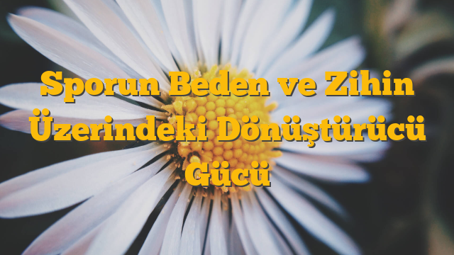 Sporun Beden ve Zihin Üzerindeki Dönüştürücü Gücü