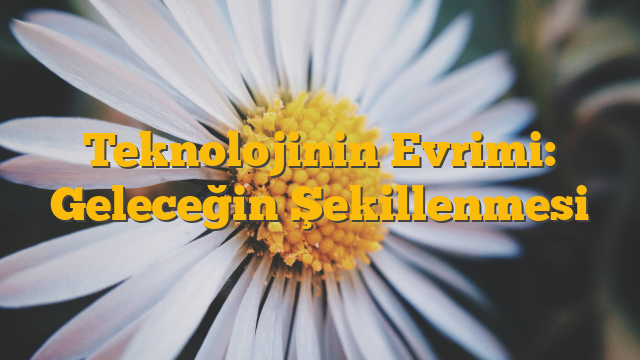 Teknolojinin Evrimi: Geleceğin Şekillenmesi