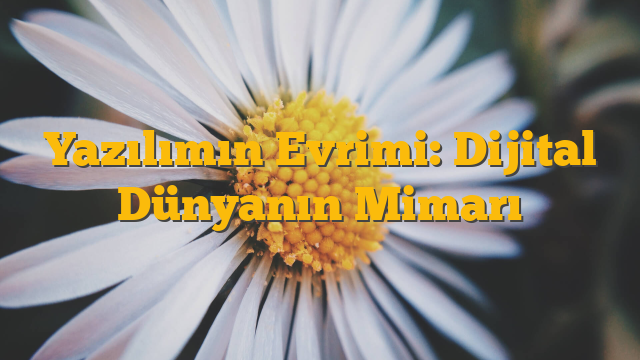Yazılımın Evrimi: Dijital Dünyanın Mimarı