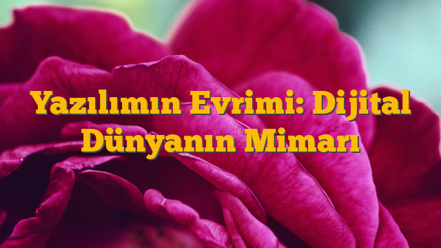 Yazılımın Evrimi: Dijital Dünyanın Mimarı