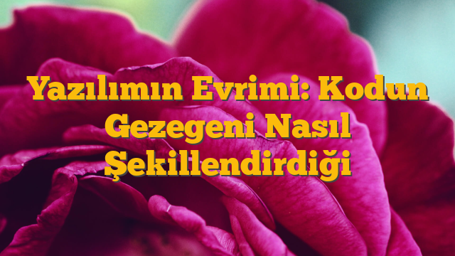Yazılımın Evrimi: Kodun Gezegeni Nasıl Şekillendirdiği