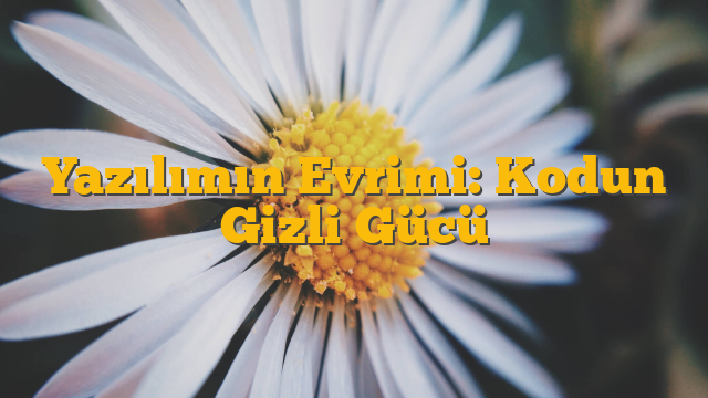 Yazılımın Evrimi: Kodun Gizli Gücü