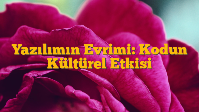 Yazılımın Evrimi: Kodun Kültürel Etkisi