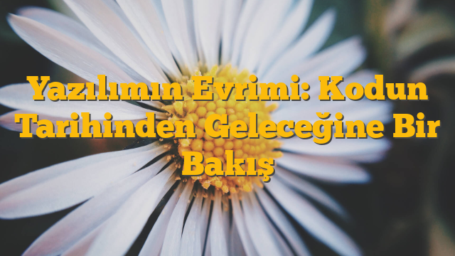 Yazılımın Evrimi: Kodun Tarihinden Geleceğine Bir Bakış