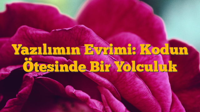 Yazılımın Evrimi: Kodun Ötesinde Bir Yolculuk