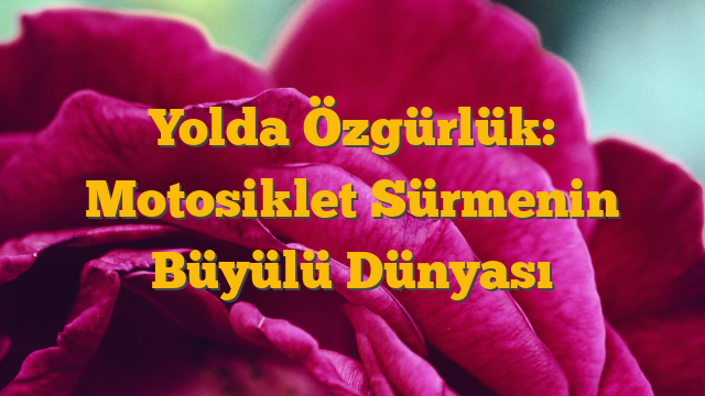 Yolda Özgürlük: Motosiklet Sürmenin Büyülü Dünyası