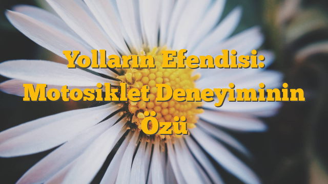 Yolların Efendisi: Motosiklet Deneyiminin Özü