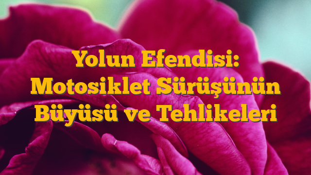 Yolun Efendisi: Motosiklet Sürüşünün Büyüsü ve Tehlikeleri