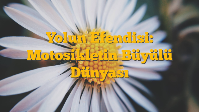 Yolun Efendisi: Motosikletin Büyülü Dünyası