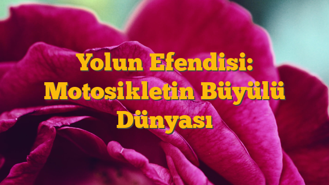 Yolun Efendisi: Motosikletin Büyülü Dünyası