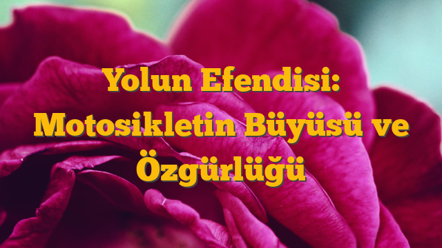 Yolun Efendisi: Motosikletin Büyüsü ve Özgürlüğü
