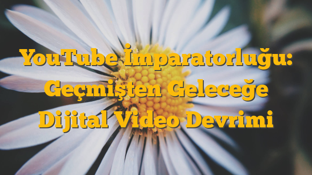 YouTube İmparatorluğu: Geçmişten Geleceğe Dijital Video Devrimi