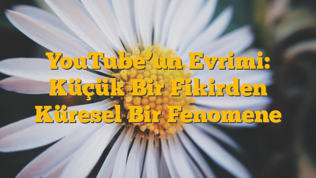YouTube’un Evrimi: Küçük Bir Fikirden Küresel Bir Fenomene