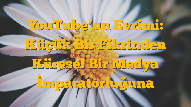 YouTube’un Evrimi: Küçük Bir Fikrinden Küresel Bir Medya İmparatorluğuna