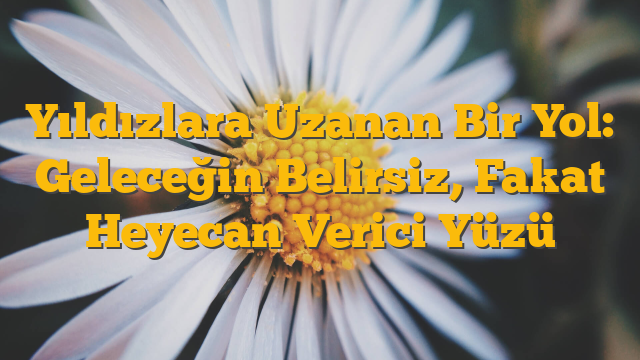 Yıldızlara Uzanan Bir Yol: Geleceğin Belirsiz, Fakat Heyecan Verici Yüzü