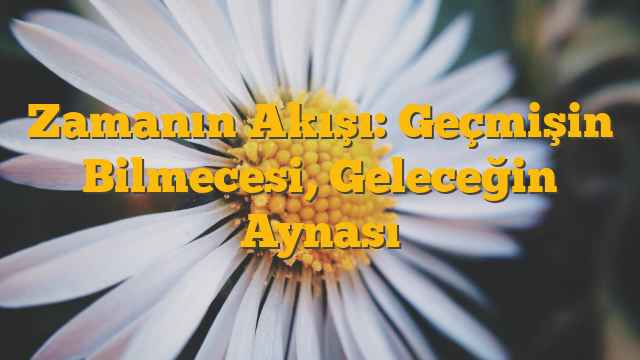 Zamanın Akışı: Geçmişin Bilmecesi, Geleceğin Aynası