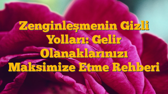 Zenginleşmenin Gizli Yolları: Gelir Olanaklarınızı Maksimize Etme Rehberi