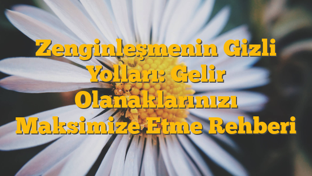 Zenginleşmenin Gizli Yolları: Gelir Olanaklarınızı Maksimize Etme Rehberi