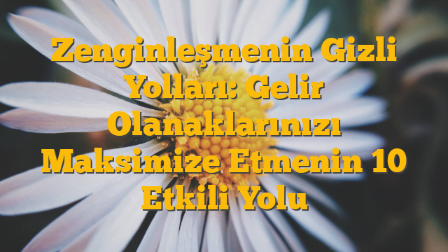 Zenginleşmenin Gizli Yolları: Gelir Olanaklarınızı Maksimize Etmenin 10 Etkili Yolu
