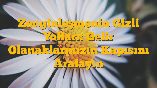 Zenginleşmenin Gizli Yolları: Gelir Olanaklarınızın Kapısını Aralayın