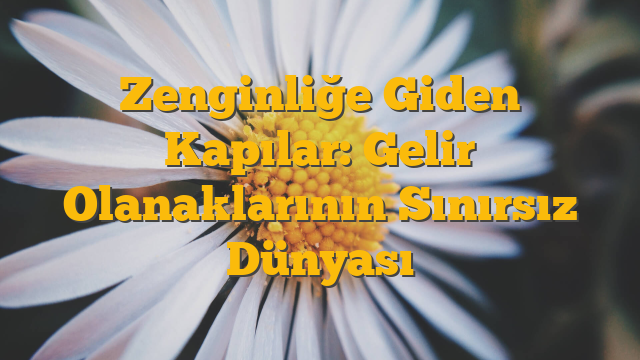 Zenginliğe Giden Kapılar: Gelir Olanaklarının Sınırsız Dünyası