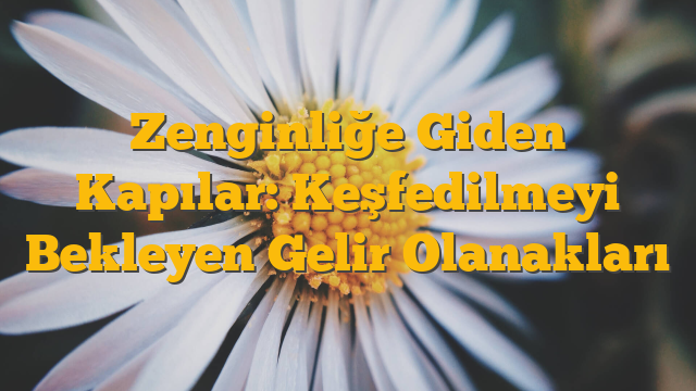 Zenginliğe Giden Kapılar: Keşfedilmeyi Bekleyen Gelir Olanakları