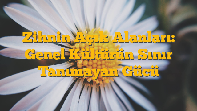 Zihnin Açık Alanları: Genel Kültürün Sınır Tanımayan Gücü