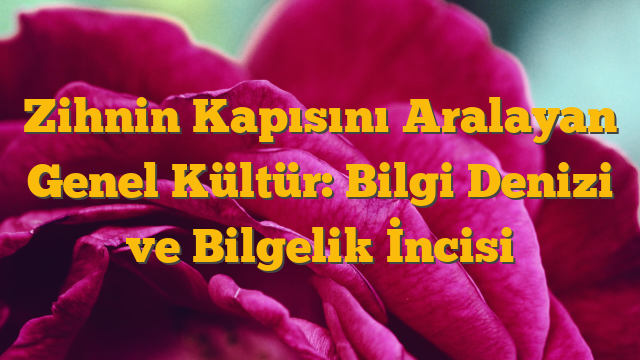 Zihnin Kapısını Aralayan Genel Kültür: Bilgi Denizi ve Bilgelik İncisi