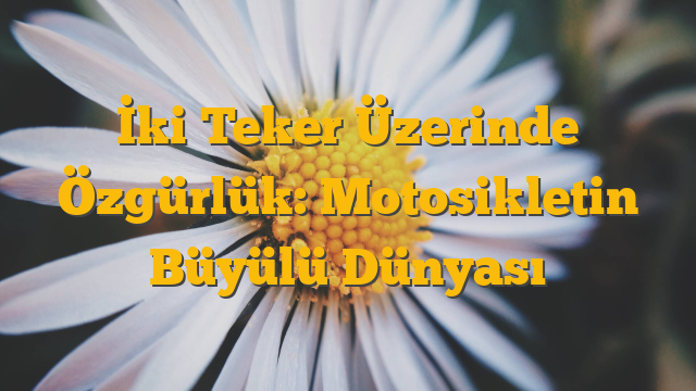 İki Teker Üzerinde Özgürlük: Motosikletin Büyülü Dünyası