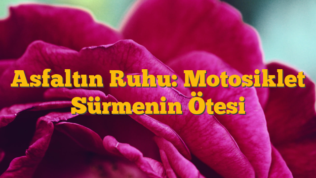 Asfaltın Ruhu: Motosiklet Sürmenin Ötesi
