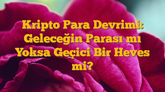 Kripto Para Devrimi: Geleceğin Parası mı Yoksa Geçici Bir Heves mi?