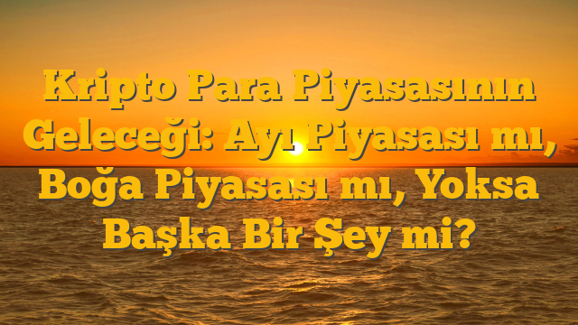 Kripto Para Piyasasının Geleceği: Ayı Piyasası mı, Boğa Piyasası mı, Yoksa Başka Bir Şey mi?