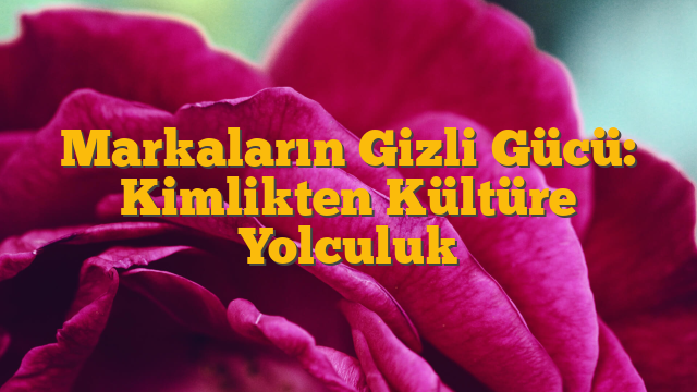 Markaların Gizli Gücü: Kimlikten Kültüre Yolculuk
