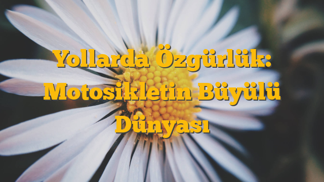 Yollarda Özgürlük: Motosikletin Büyülü Dünyası