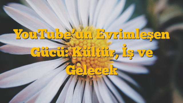 YouTube’un Evrimleşen Gücü: Kültür, İş ve Gelecek