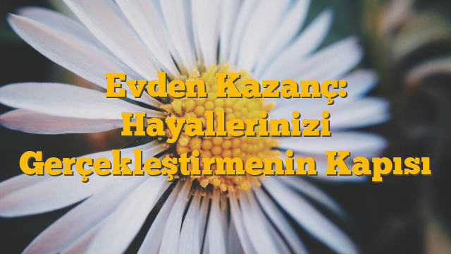 Evden Kazanç: Hayallerinizi Gerçekleştirmenin Kapısı