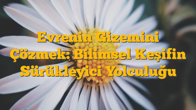 Evrenin Gizemini Çözmek: Bilimsel Keşifin Sürükleyici Yolculuğu