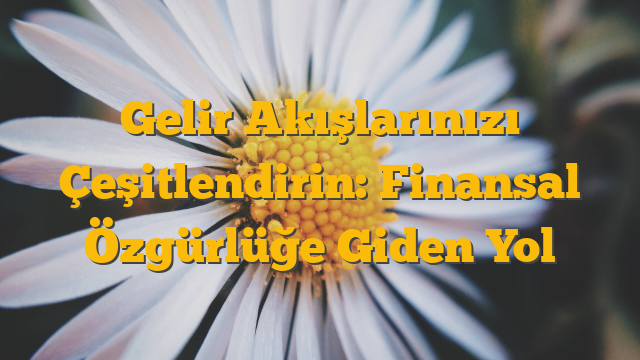 Gelir Akışlarınızı Çeşitlendirin: Finansal Özgürlüğe Giden Yol