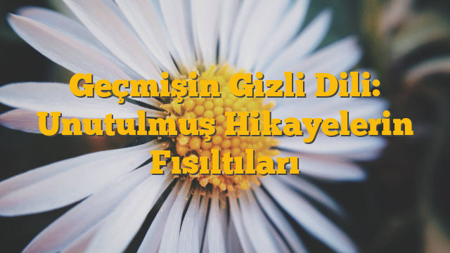 Geçmişin Gizli Dili: Unutulmuş Hikayelerin Fısıltıları