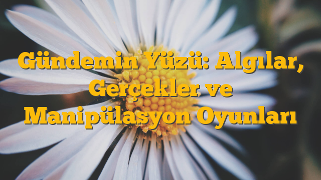 Gündemin Yüzü: Algılar, Gerçekler ve Manipülasyon Oyunları