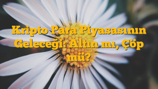Kripto Para Piyasasının Geleceği: Altın mı, Çöp mü?