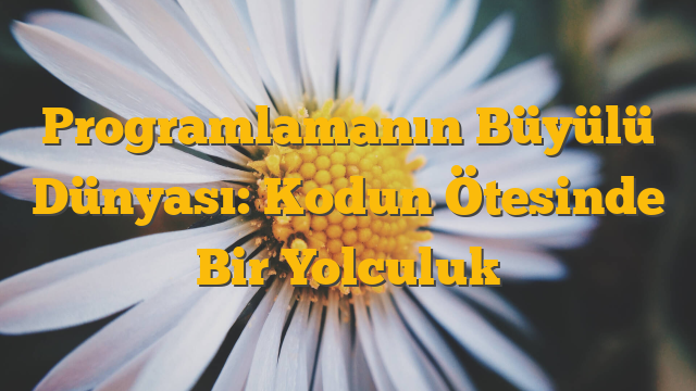 Programlamanın Büyülü Dünyası: Kodun Ötesinde Bir Yolculuk