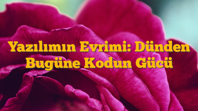 Yazılımın Evrimi: Dünden Bugüne Kodun Gücü