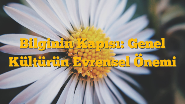 Bilginin Kapısı: Genel Kültürün Evrensel Önemi