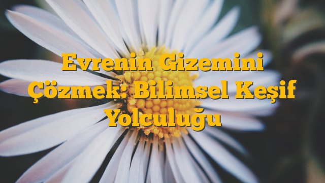 Evrenin Gizemini Çözmek: Bilimsel Keşif Yolculuğu