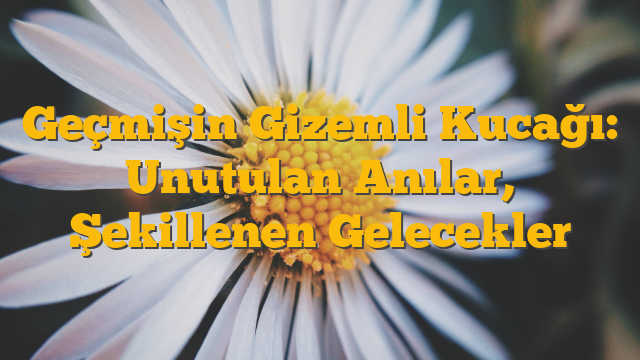 Geçmişin Gizemli Kucağı: Unutulan Anılar, Şekillenen Gelecekler