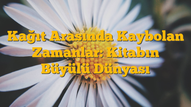 Kağıt Arasında Kaybolan Zamanlar: Kitabın Büyülü Dünyası