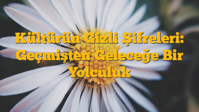 Kültürün Gizli Şifreleri: Geçmişten Geleceğe Bir Yolculuk