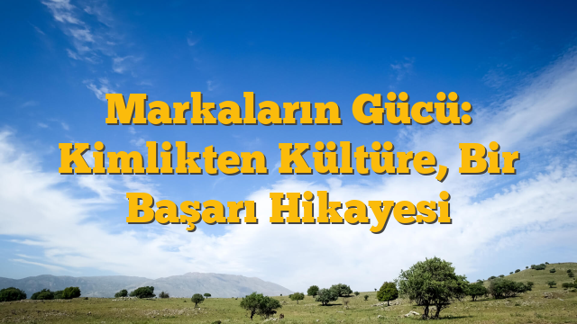 Markaların Gücü: Kimlikten Kültüre, Bir Başarı Hikayesi