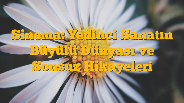 Sinema: Yedinci Sanatın Büyülü Dünyası ve Sonsuz Hikayeleri